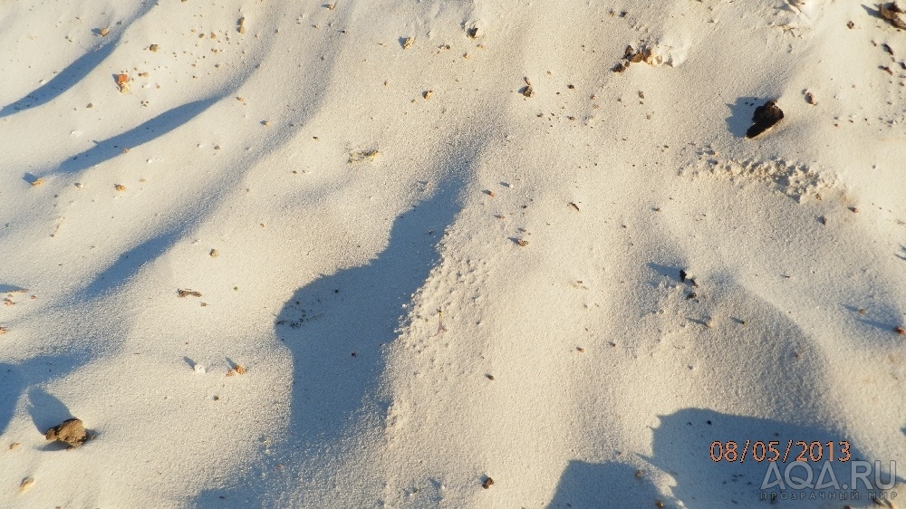 Мика - Белый песок - 117 фото