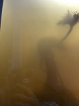Фото для раздела болезни рыбок
