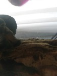 Фото для раздела болезни рыбок