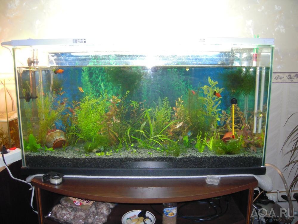 120l