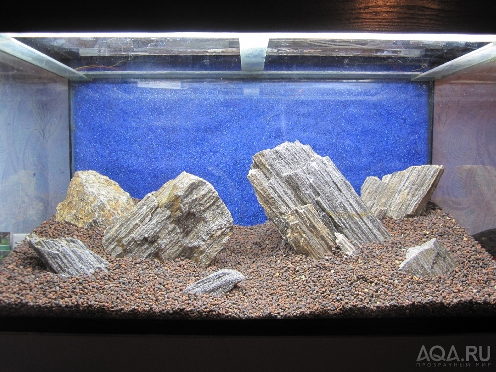 Hardscape