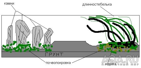 для форума