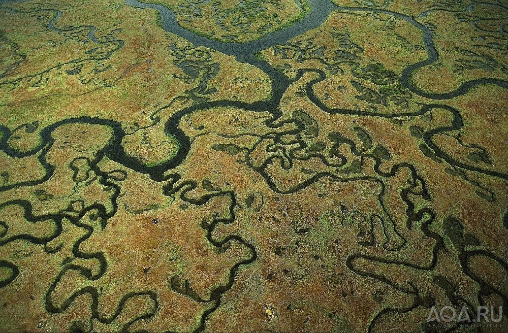 фото на фон Yann Arthus-Bertrand