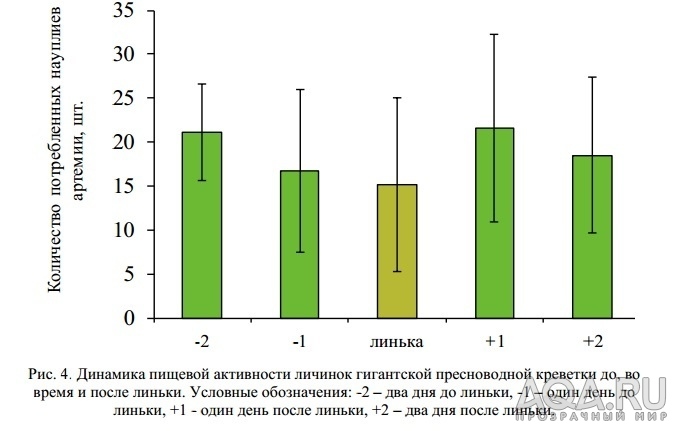 для форума