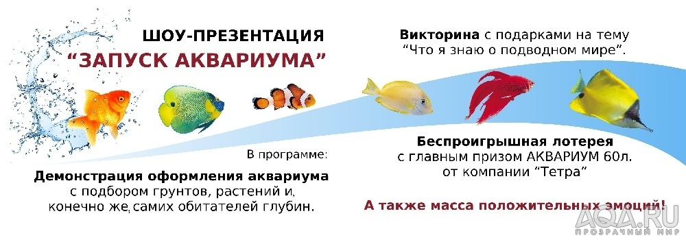 для форума