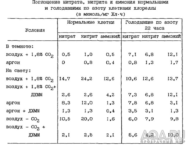 Поглощение азота растениями