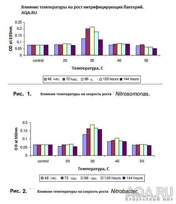 Азотный цикл в аквариуме легко и просто. 