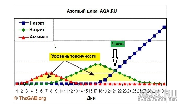 Азотный цикл в аквариуме легко и просто.