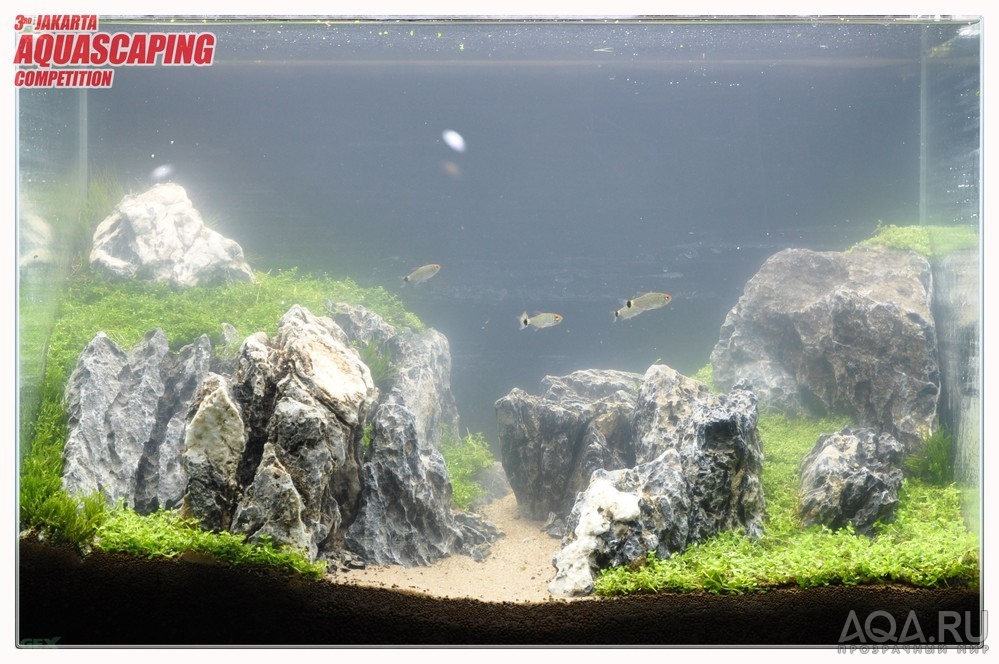 3rd Jakarta Aquascaping Competition