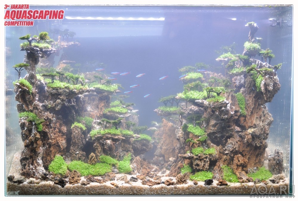 3rd Jakarta Aquascaping Competition