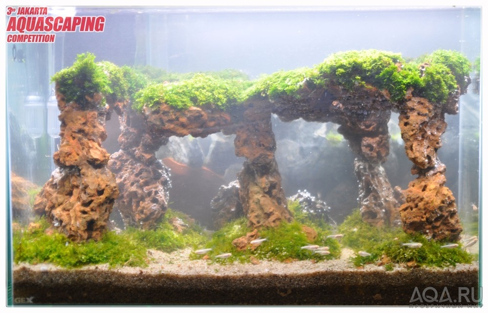 3rd Jakarta Aquascaping Competition