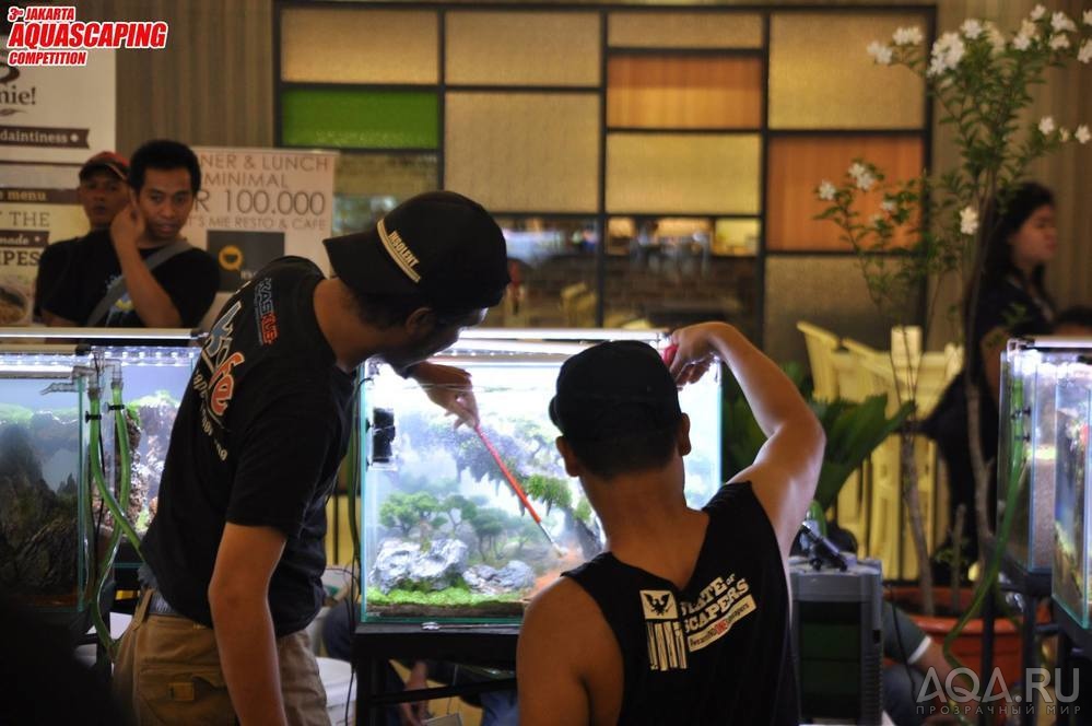 jakarta aquascaping 2017