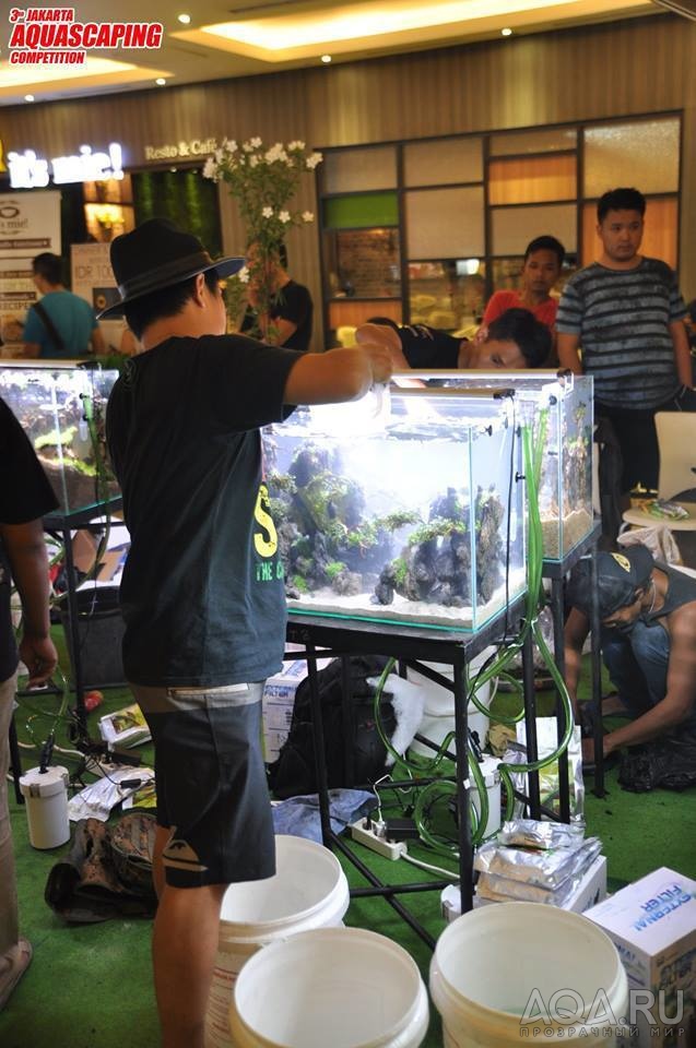 jakarta aquascaping 2017