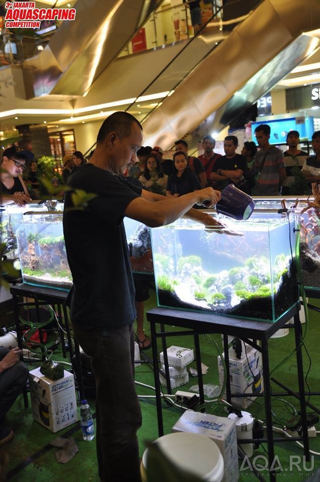 jakarta aquascaping 2017