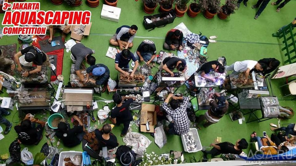 jakarta aquascaping 2017