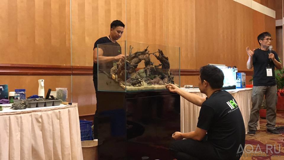 ISTA International Aquascaping Contest 