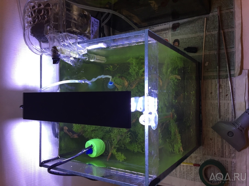 Наглядное фото аквариуме для форумчан для решения моей проблемы 