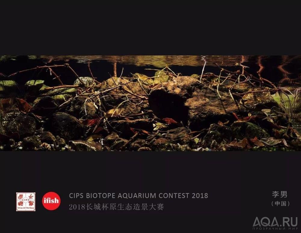  CIPS Biotope Aquarium Contest 2018: 