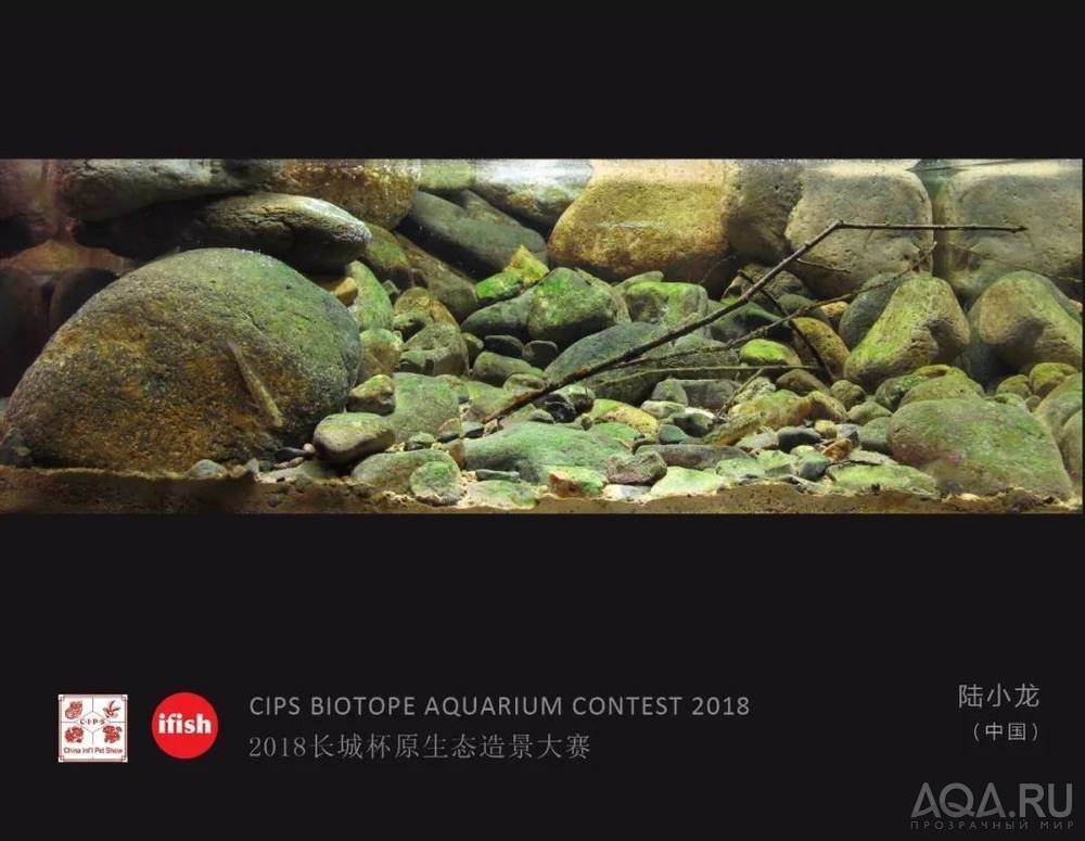  CIPS Biotope Aquarium Contest 2018: 