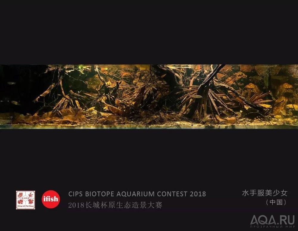  CIPS Biotope Aquarium Contest 2018: 