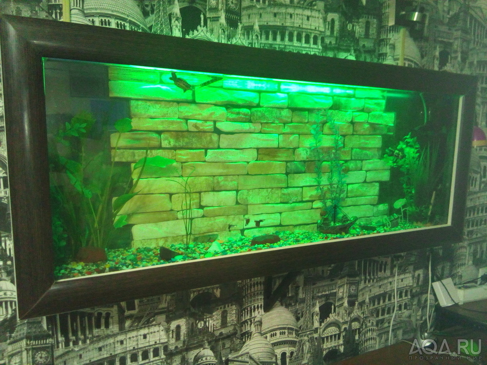 Настенный аквариум