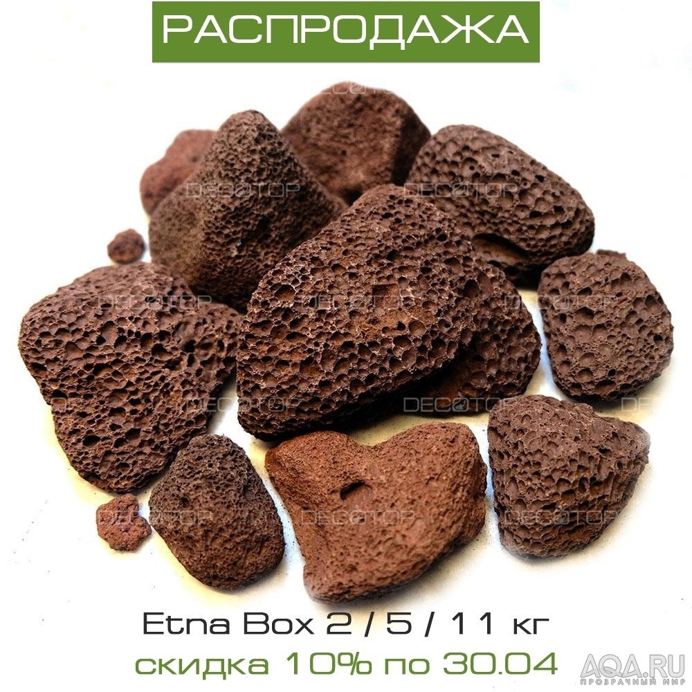 Decotop_Etna_Box_Распродажа