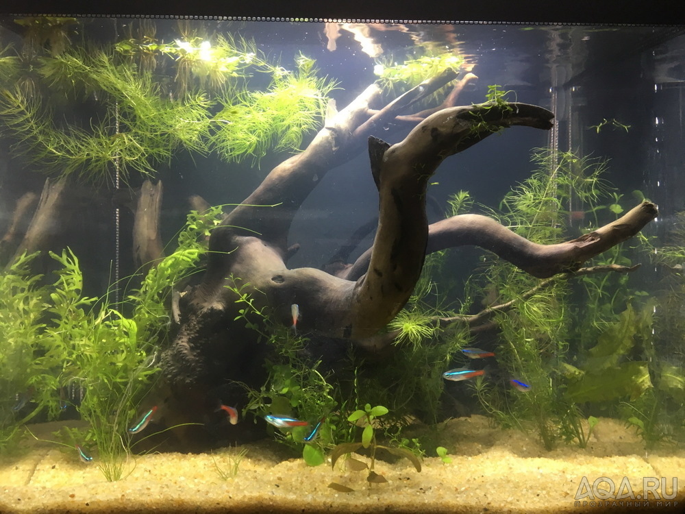 HAGEN FLUVAL Flex 34...ещё одна история