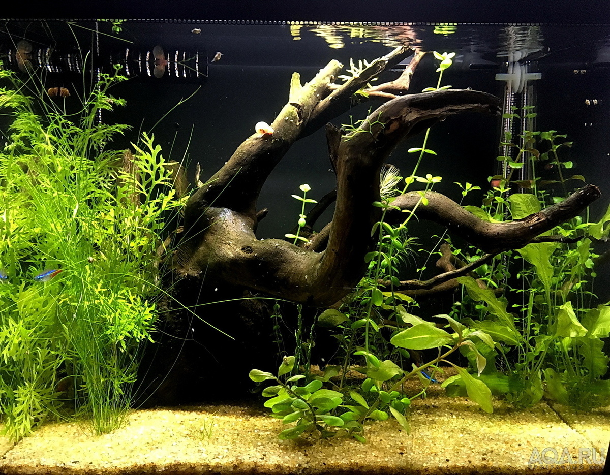 HAGEN FLUVAL Flex 34...ещё одна история