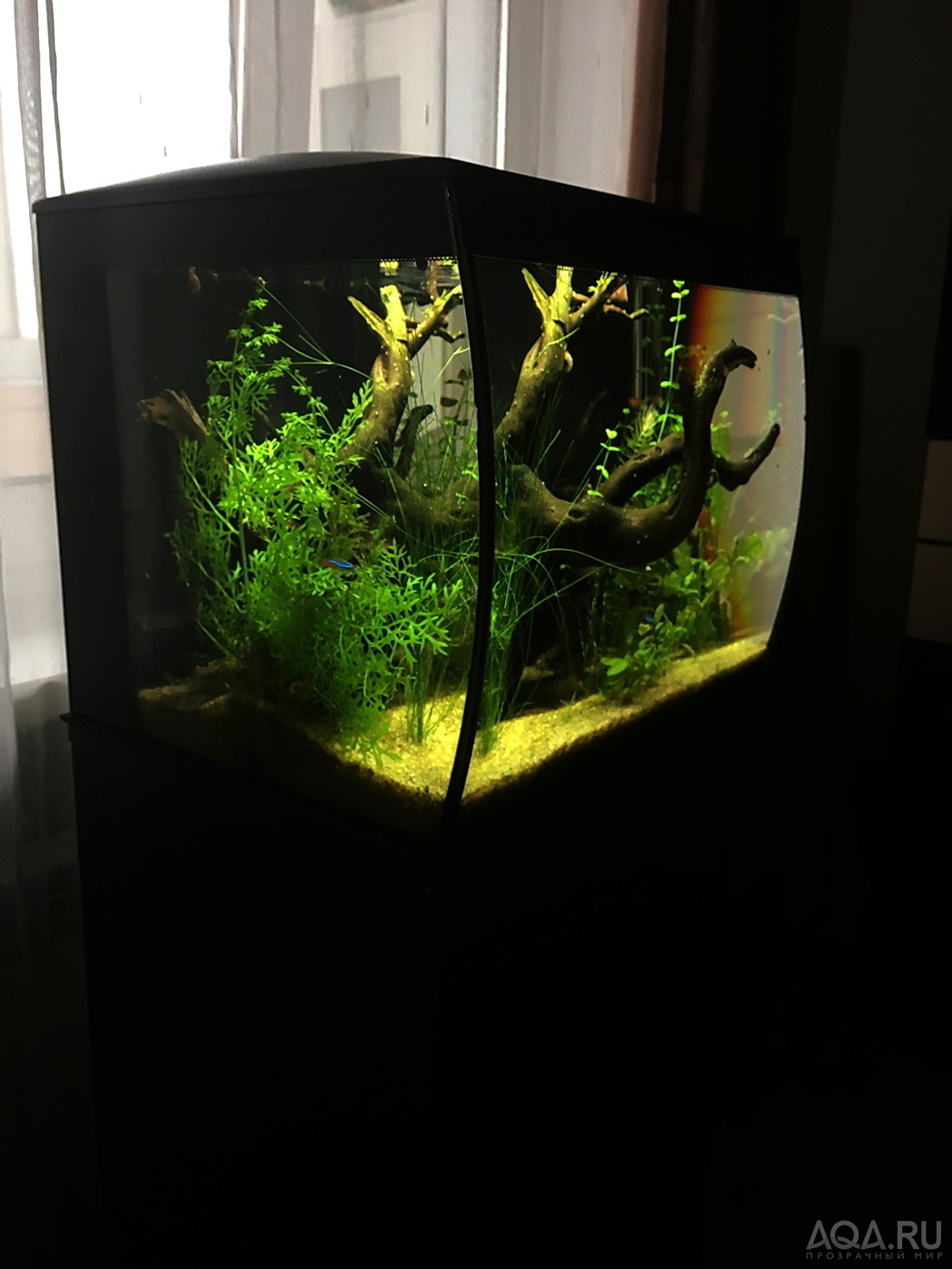 HAGEN FLUVAL Flex 34...ещё одна история