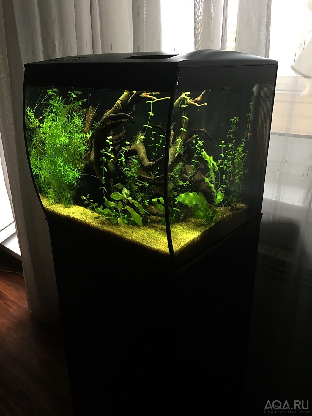 HAGEN FLUVAL Flex 34...ещё одна история