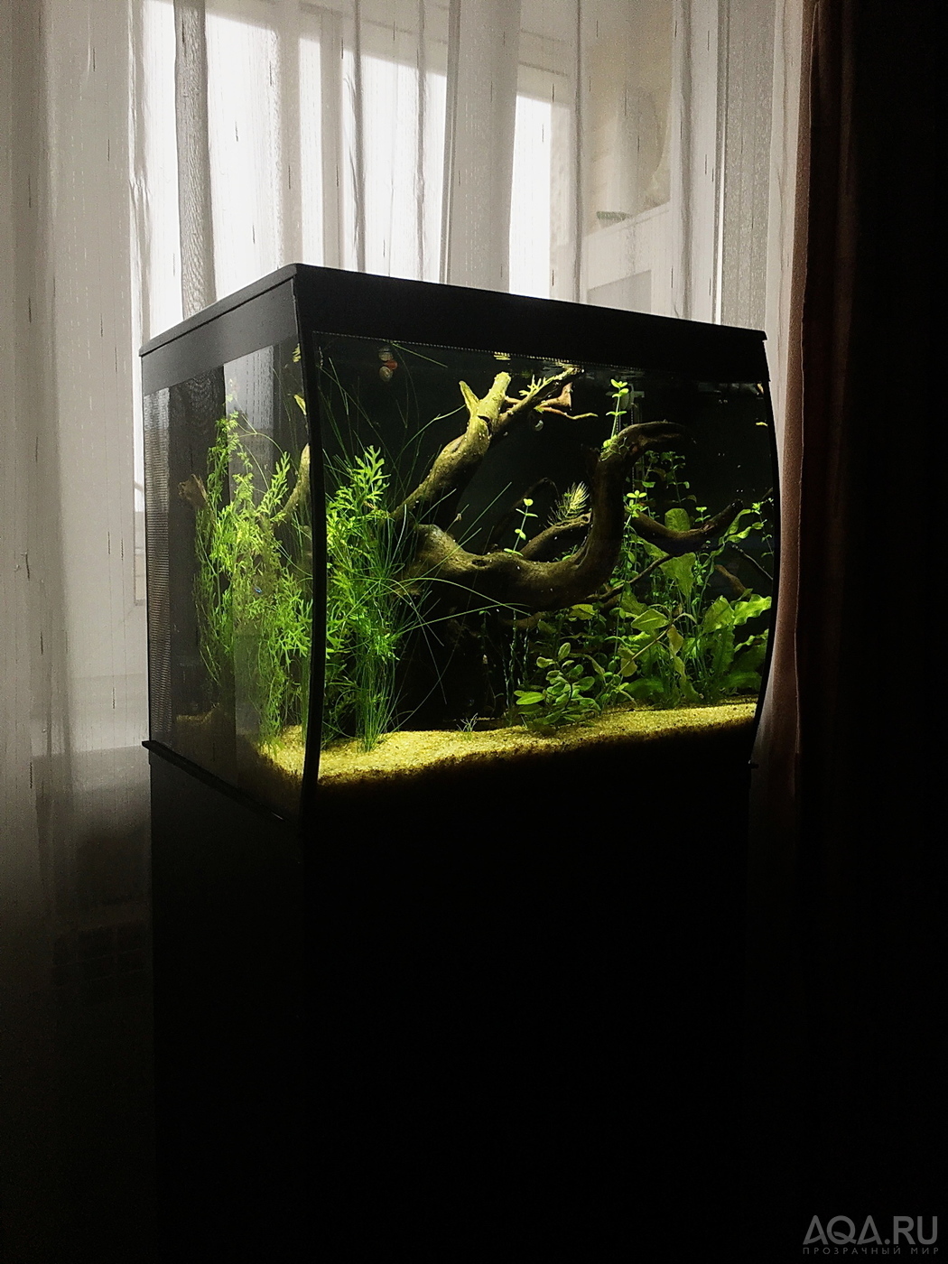 HAGEN FLUVAL Flex 34...ещё одна история