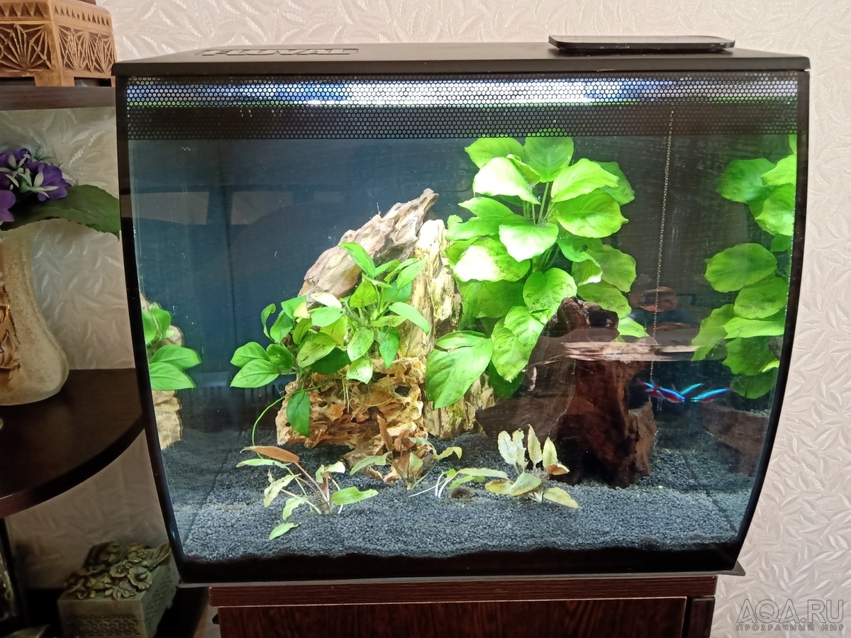 HAGEN FLUVAL Flex 34 ... возвращение к малым объемам