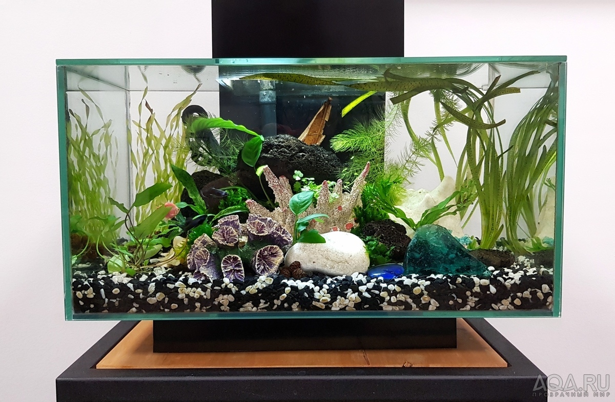 Разрыв шаблона - офисный Fluval Edge 2.0