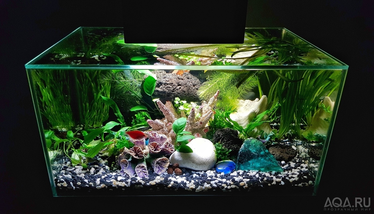 Разрыв шаблона - офисный Fluval Edge 2.0