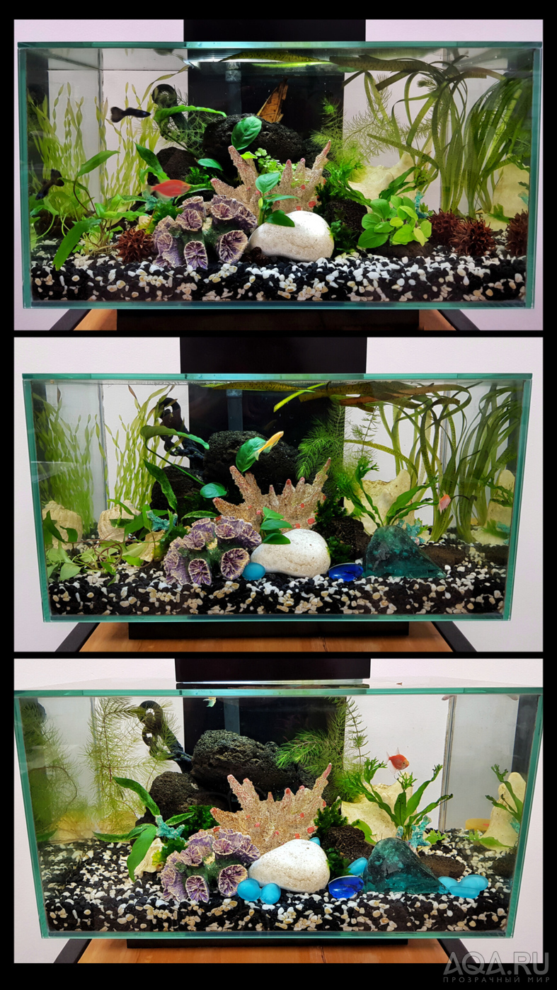 Разрыв шаблона - офисный Fluval Edge 2.0