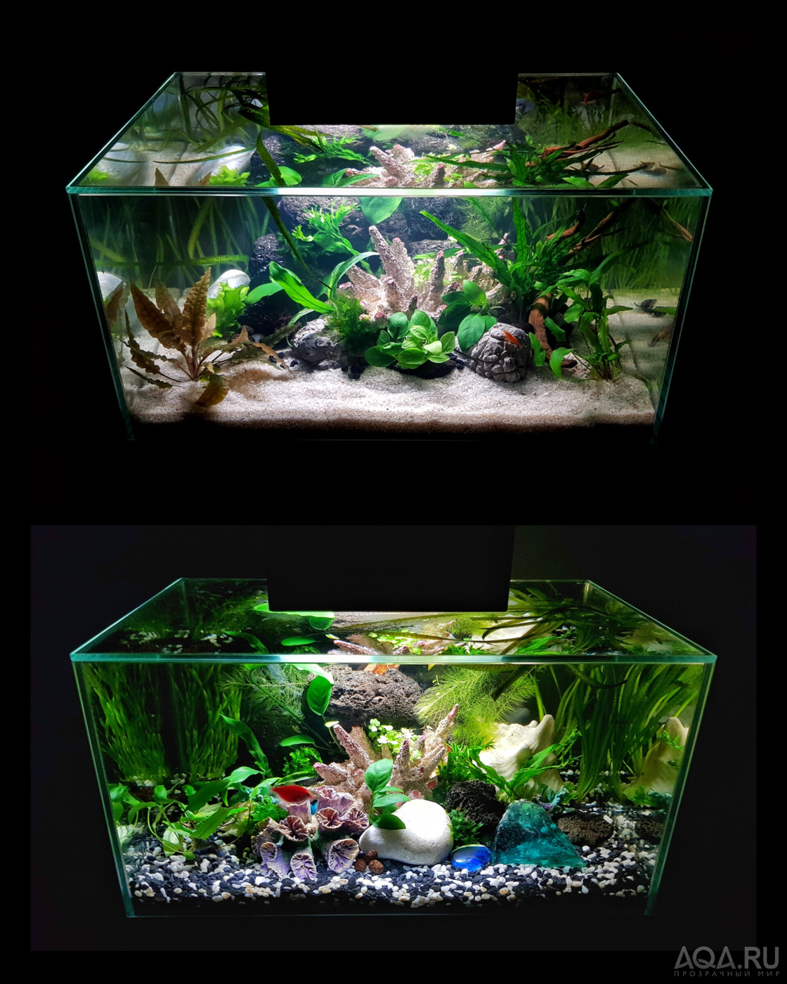 Разрыв шаблона - офисный Fluval Edge 2.0