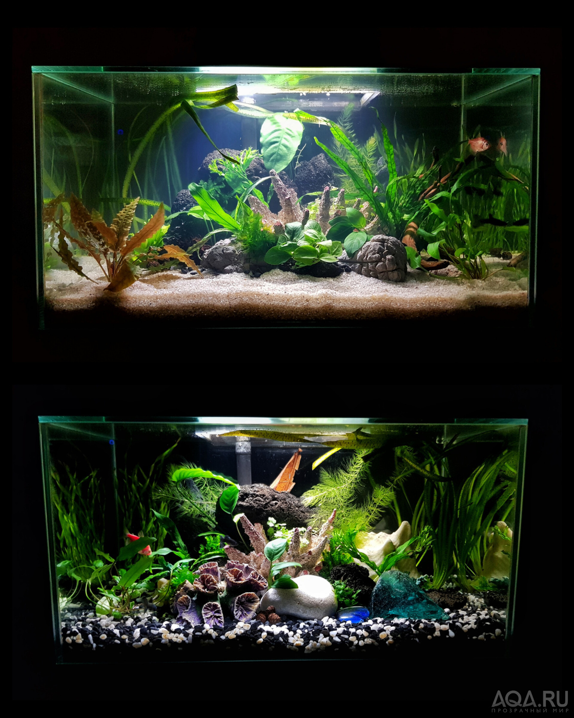 Разрыв шаблона - офисный Fluval Edge 2.0