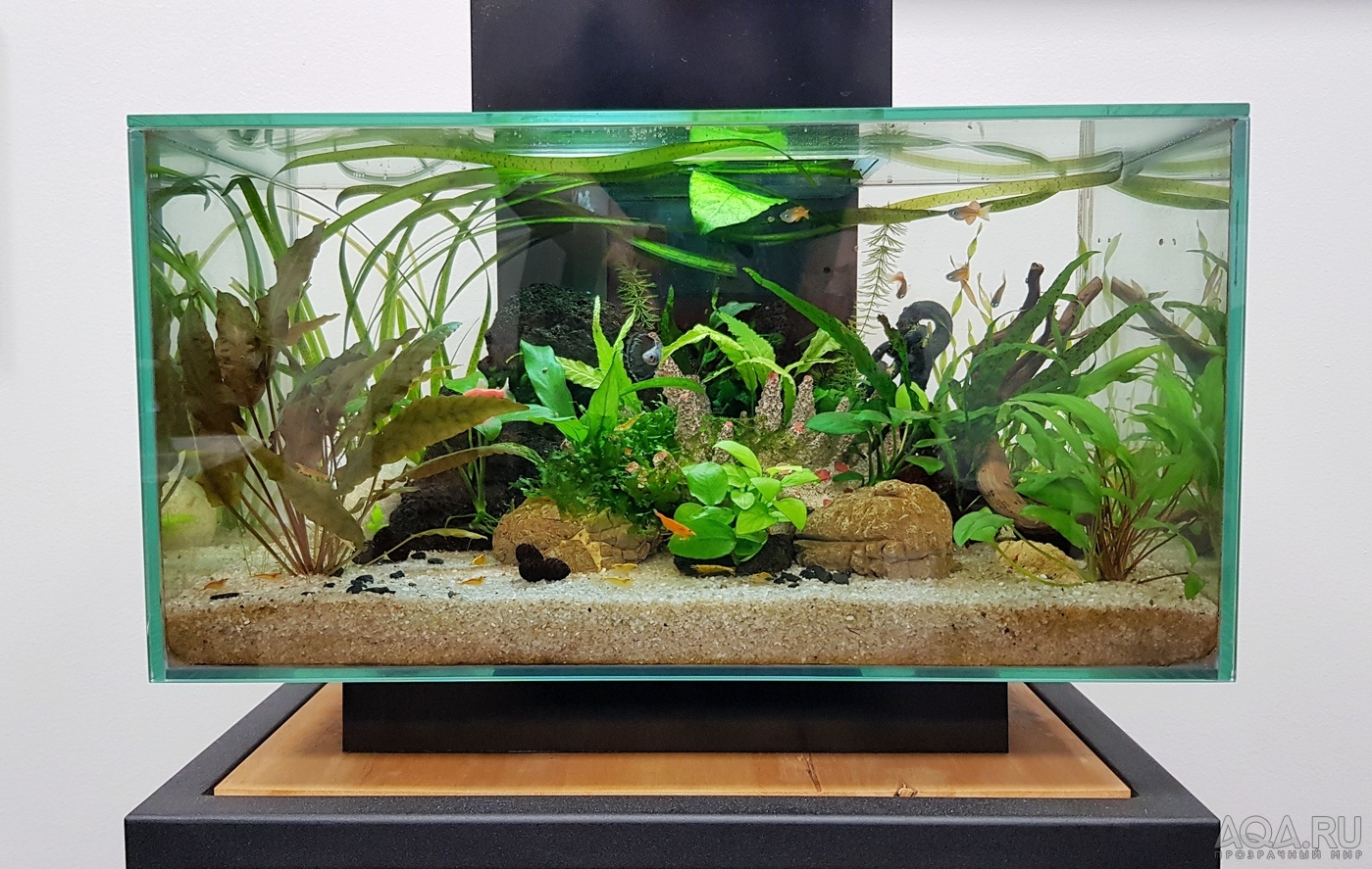 Разрыв шаблона - офисный Fluval Edge 2.0