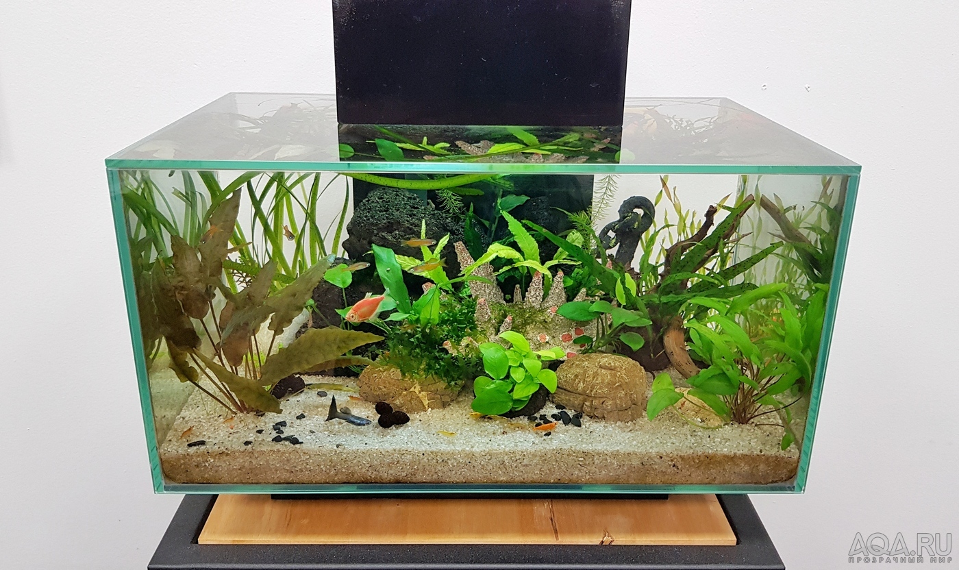 Разрыв шаблона - офисный Fluval Edge 2.0