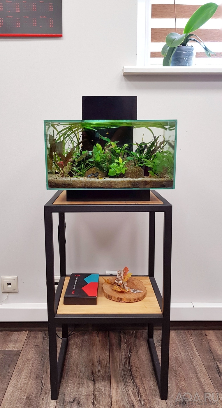 Разрыв шаблона - офисный Fluval Edge 2.0