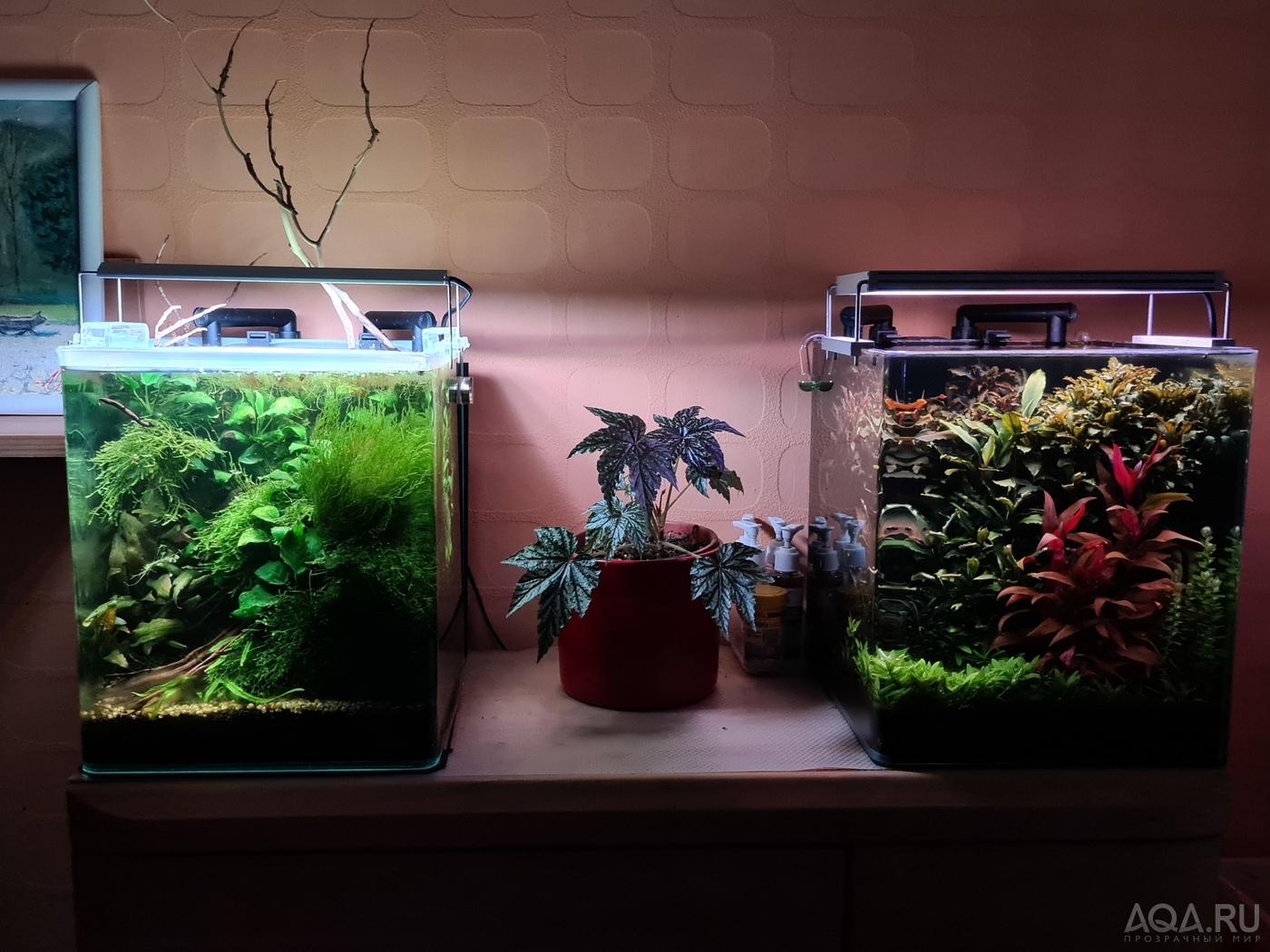 dennerle nano cube 20 l. - подделка?