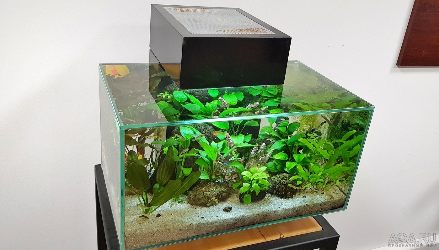 Разрыв шаблона - офисный Fluval Edge 2.0