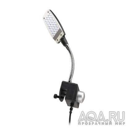 Arclight LED