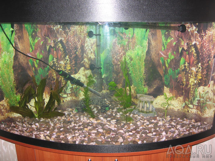 первый аквариум