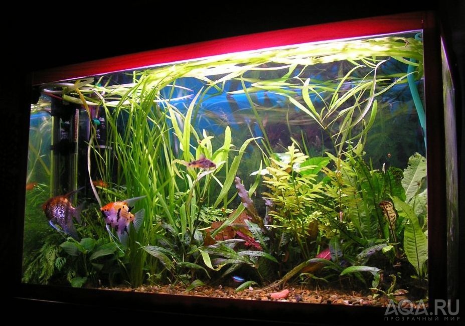 120L