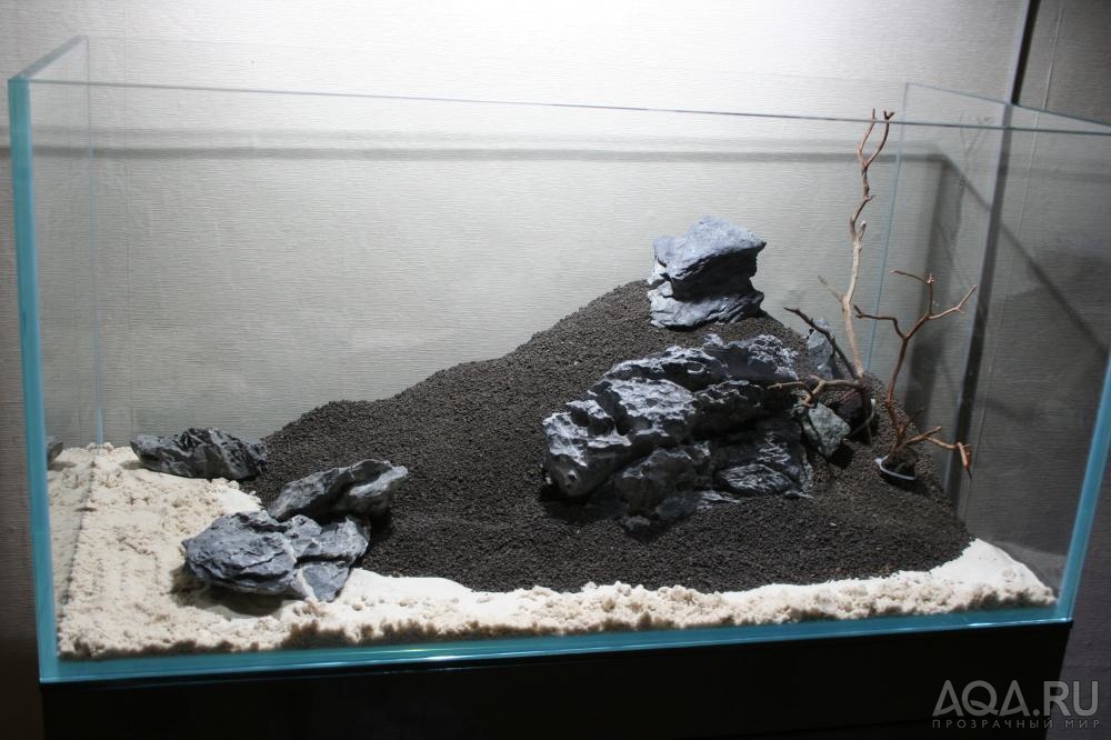 hardscape