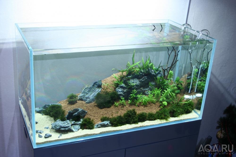 rescape