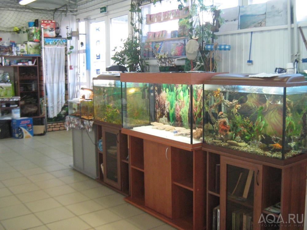 выставка готовых под ключ аквариумов