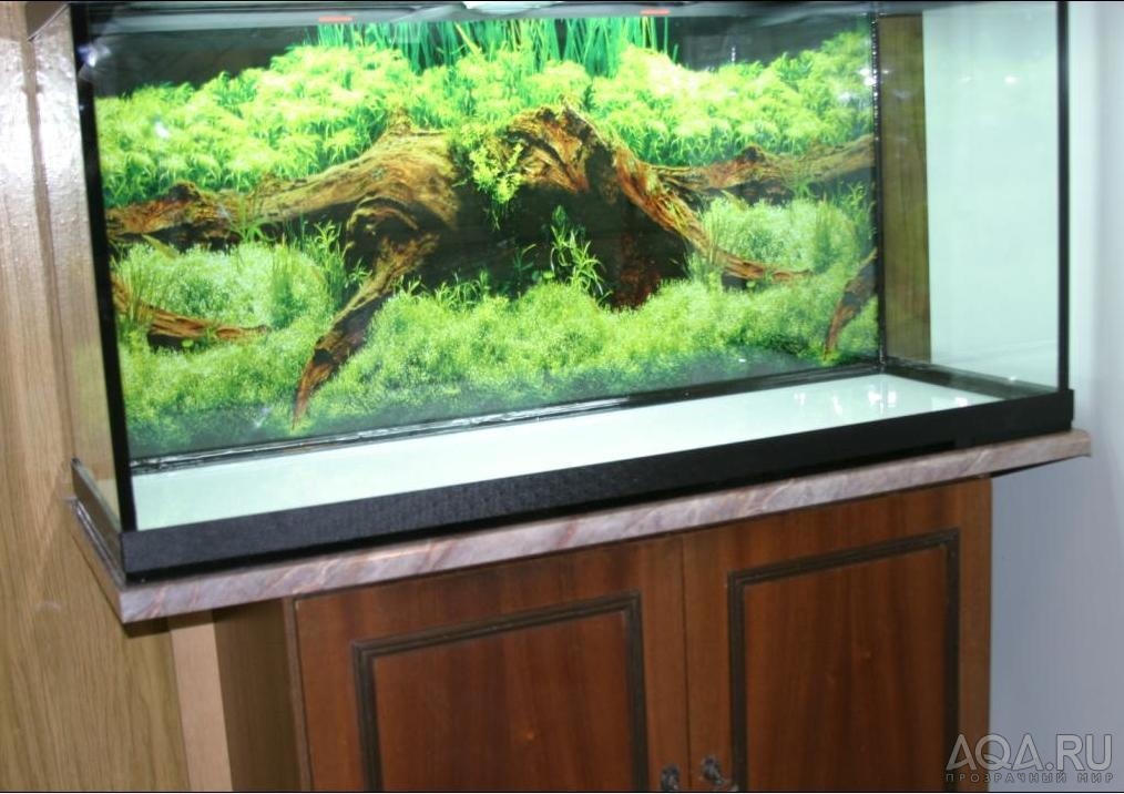 Aquarium SSB 240L