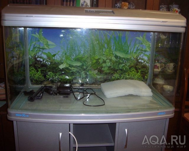 аквариум с тумбой